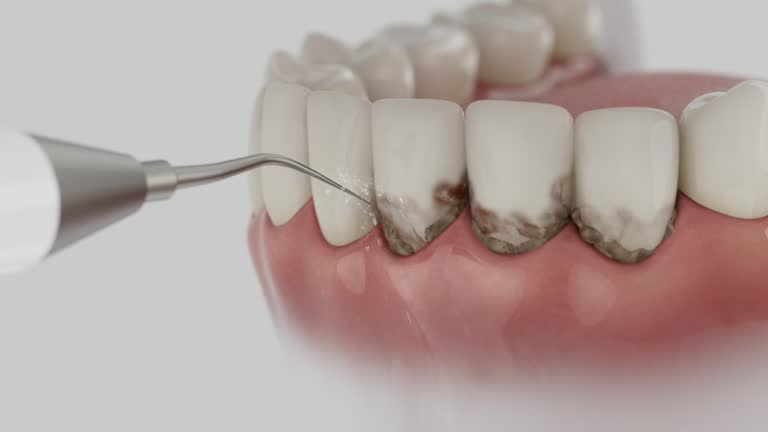 Reliable Dental contractor in Ford Heights, IL by Dentist Open Now
